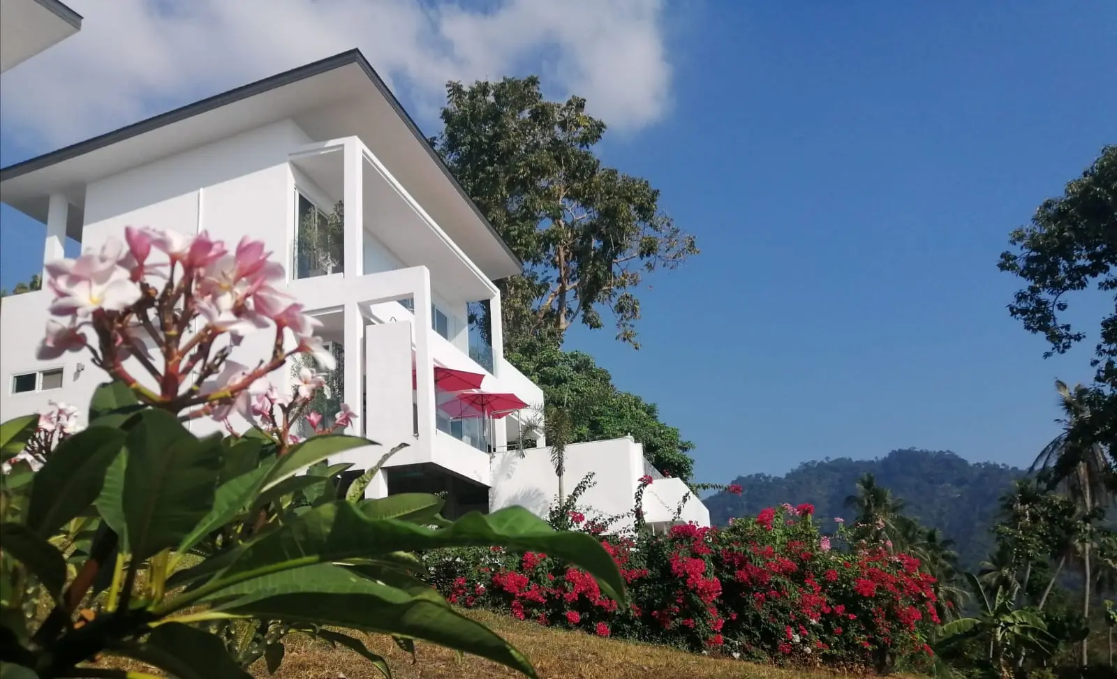 Breathtaking Sea View Luxury Pool Villas – Exclusive Nathon Koh Samui Living - select property pattaya