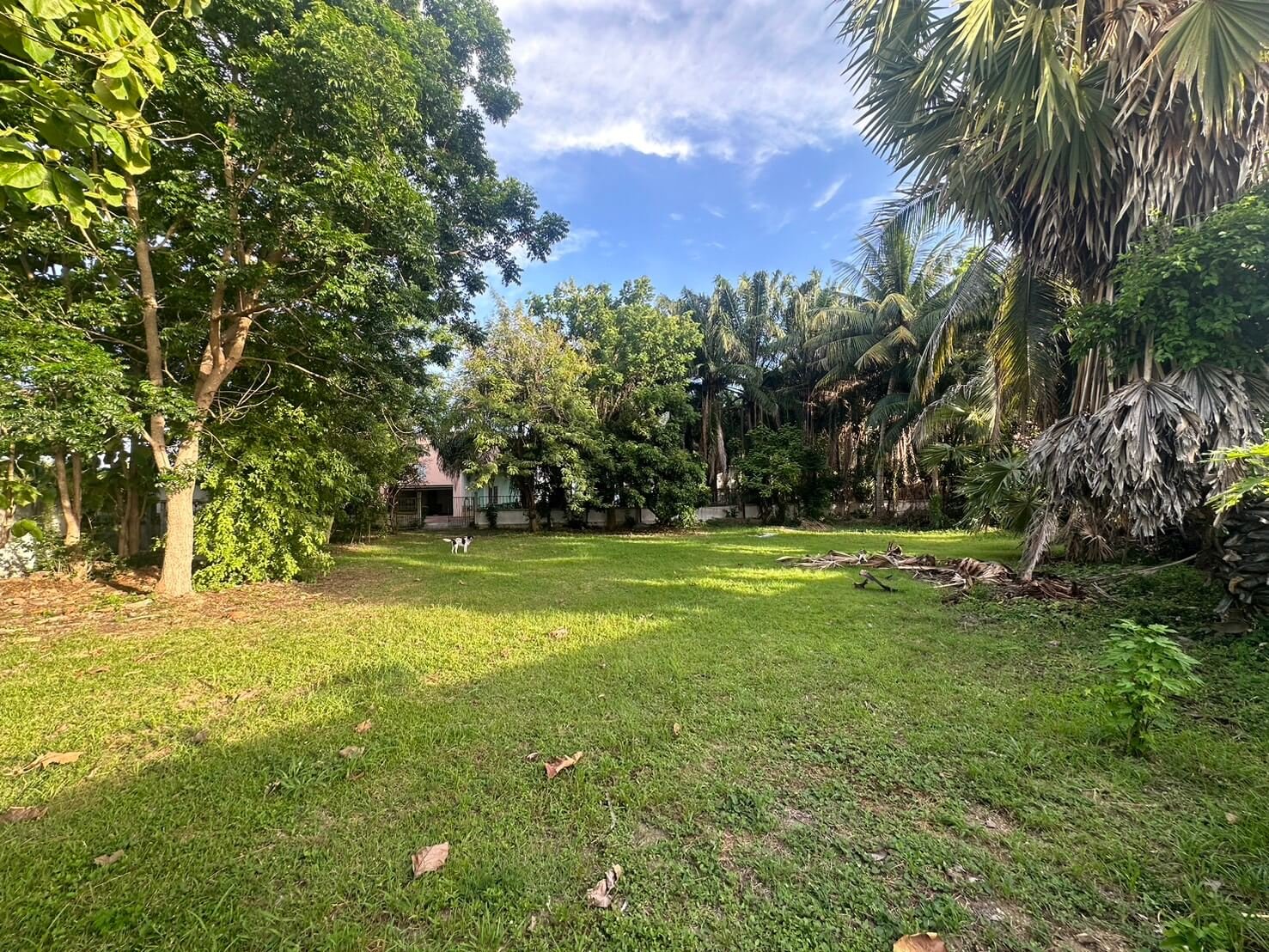 SST260903 Prime Land – 300 Sq.w. Developer Plot in Soi Phon Prapha Nimit 15 (10) SST260903 Prime Land - 300 Sq.w. Developer Plot in Soi Phon Prapha Nimit 15