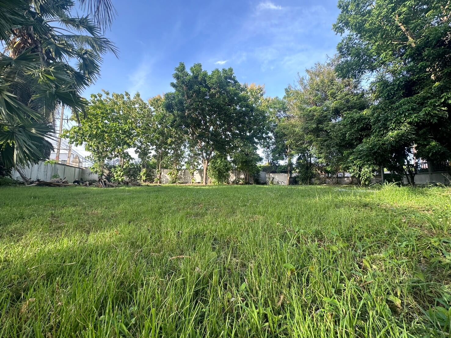 SST260903 Prime Land – 300 Sq.w. Developer Plot in Soi Phon Prapha Nimit 15 (13) SST260903 Prime Land - 300 Sq.w. Developer Plot in Soi Phon Prapha Nimit 15