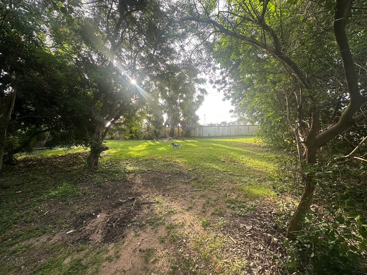SST260903 Prime Land – 300 Sq.w. Developer Plot in Soi Phon Prapha Nimit 15 (14) SST260903 Prime Land - 300 Sq.w. Developer Plot in Soi Phon Prapha Nimit 15