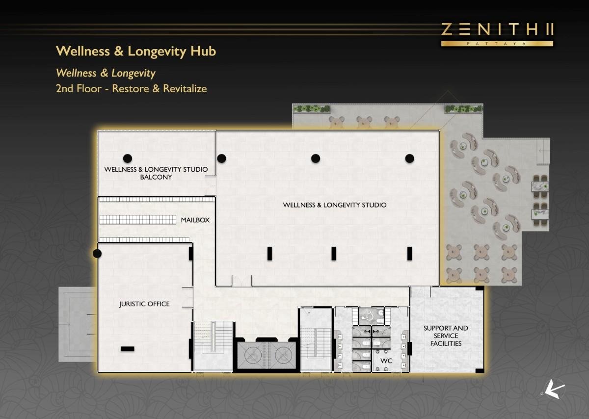 ZEN2-CLBHSE-F2.jpg